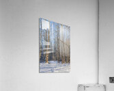 Winter Wald  Acrylic Print