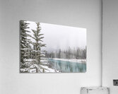Winter at Bow River  Acrylic Print