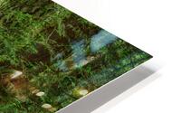 Temperate Rainforest of the Pacific Northwest 7 HD Metal print