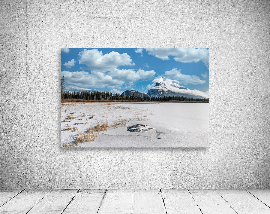 Vermillion Lake - Mount Rundle by Andrea Bruns