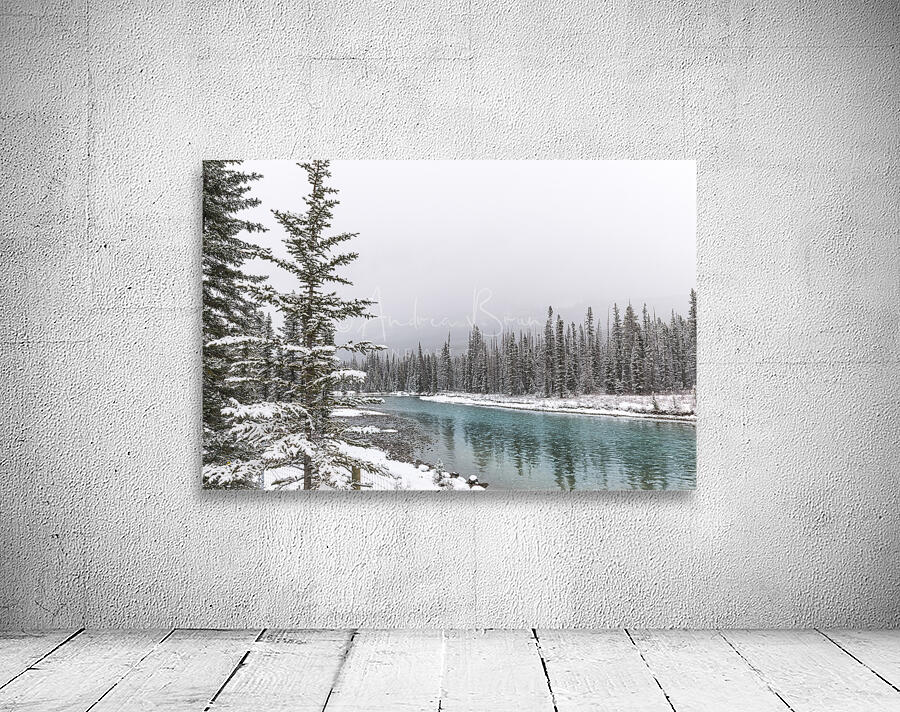 Winter at Bow River by Andrea Bruns